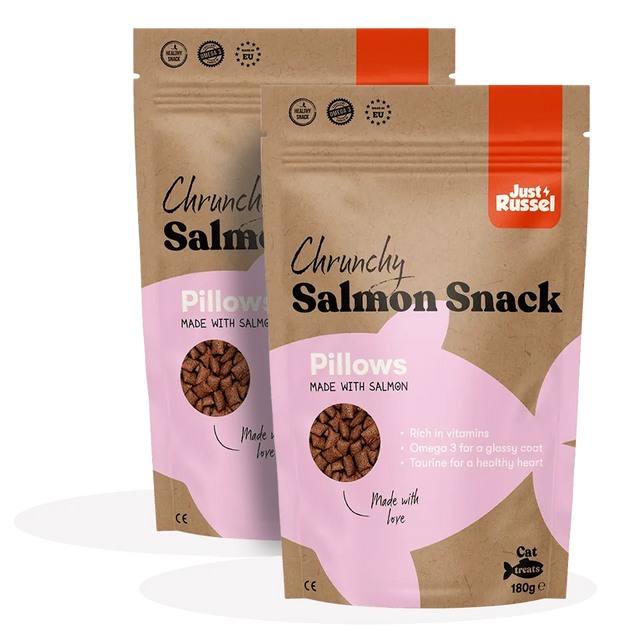 Healty cat snacks