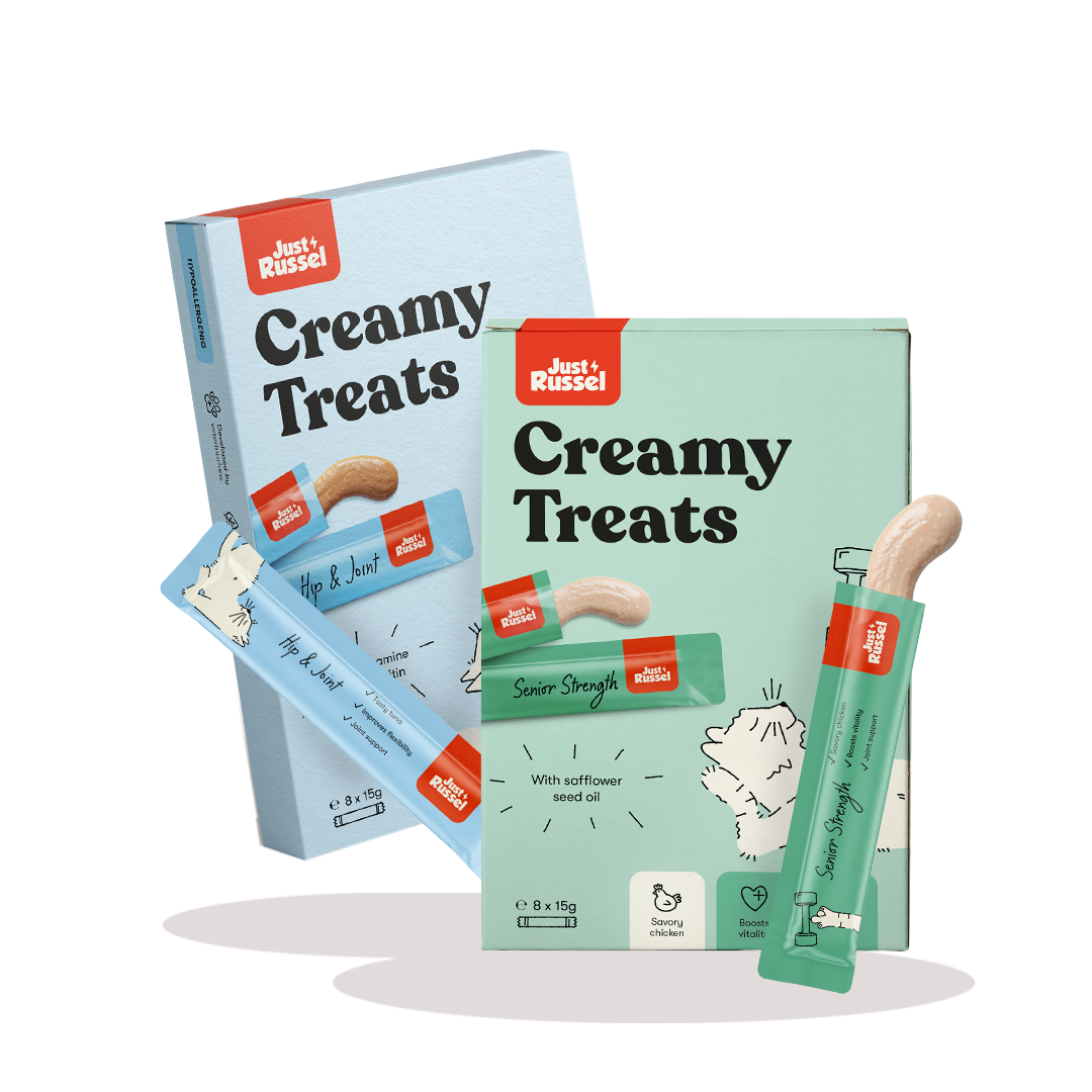 Healty cat snacks