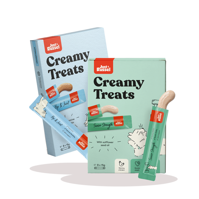 Healty cat snacks