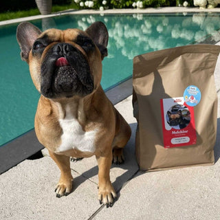 Croquettes diététiques personnalisées pour chien - 3KG