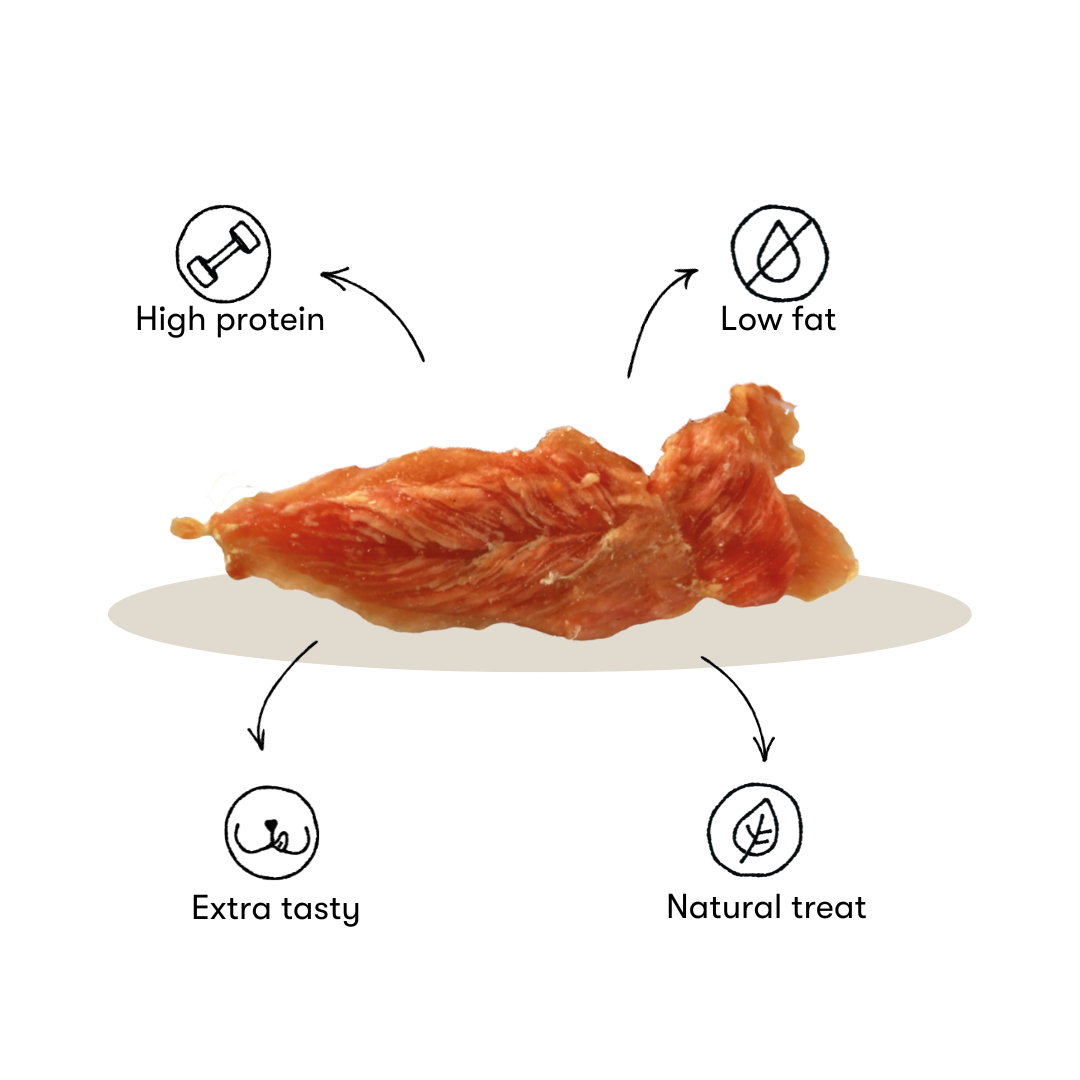 Dried chicken Fillets for dogs – Just Russel Shop