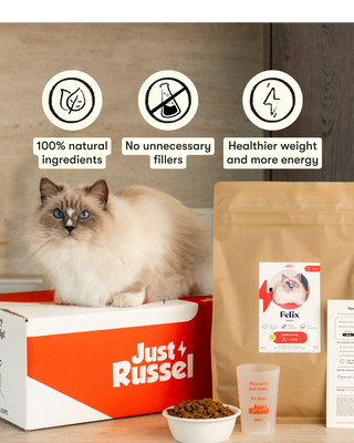 Nourriture pour chat personnalisée - 3KG