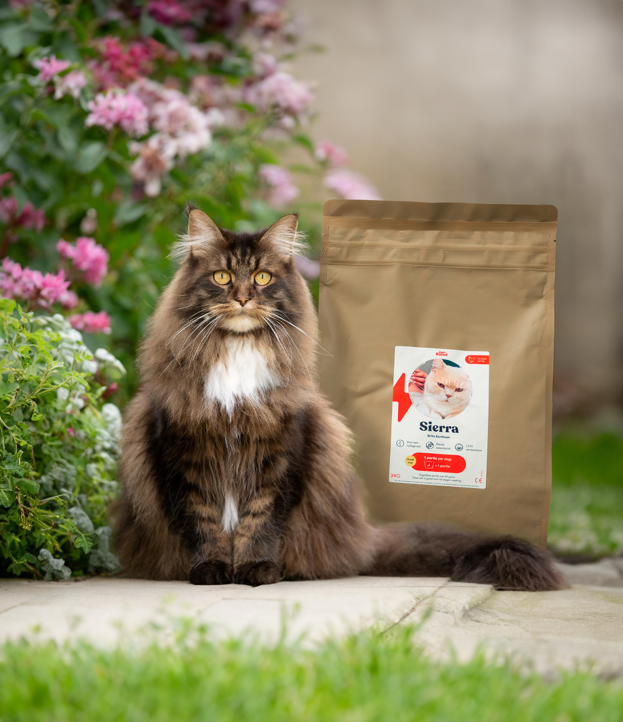 Dieetvoer voor katten op maat - 3 KG