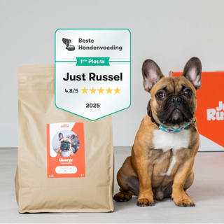 French bulldog sitting next to a Just Russel product with a package and box in the background.