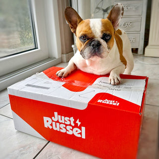 Croquettes diététiques personnalisées pour chien - 3KG