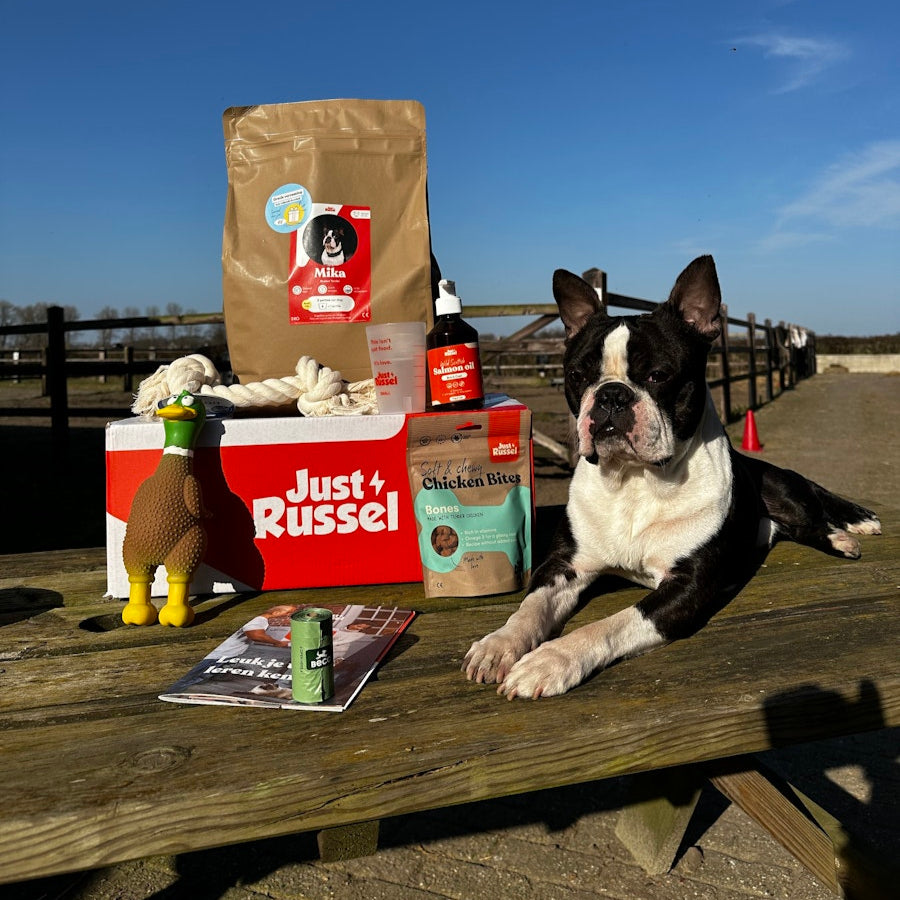 French bulldog sitting on a wooden surface with pet products including a bag, bottle, and box in the foreground.