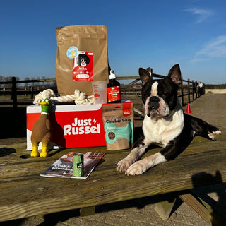 French bulldog sitting on a wooden surface with pet products including a bag, bottle, and box in the foreground.