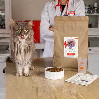 Nourriture pour chat personnalisée - 3KG