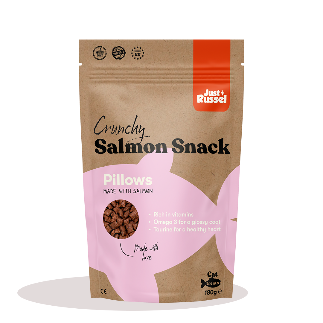 Salmon Snacks