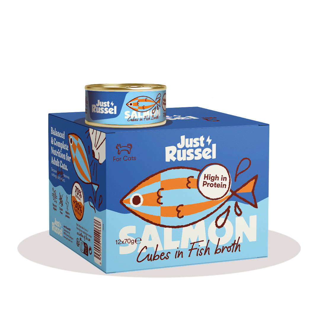 Eiwitrijk natvoer voor katten - Zalm