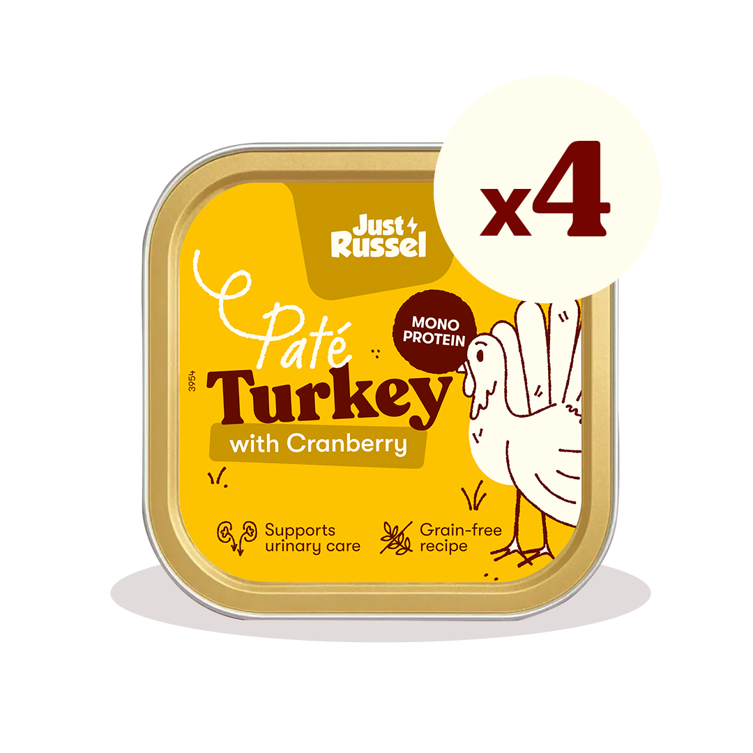 Paté for cats - Turkey and cranberries
