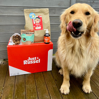 Golden retriever sitting next to a 'Just Russel' box with pet products on a wooden deck.